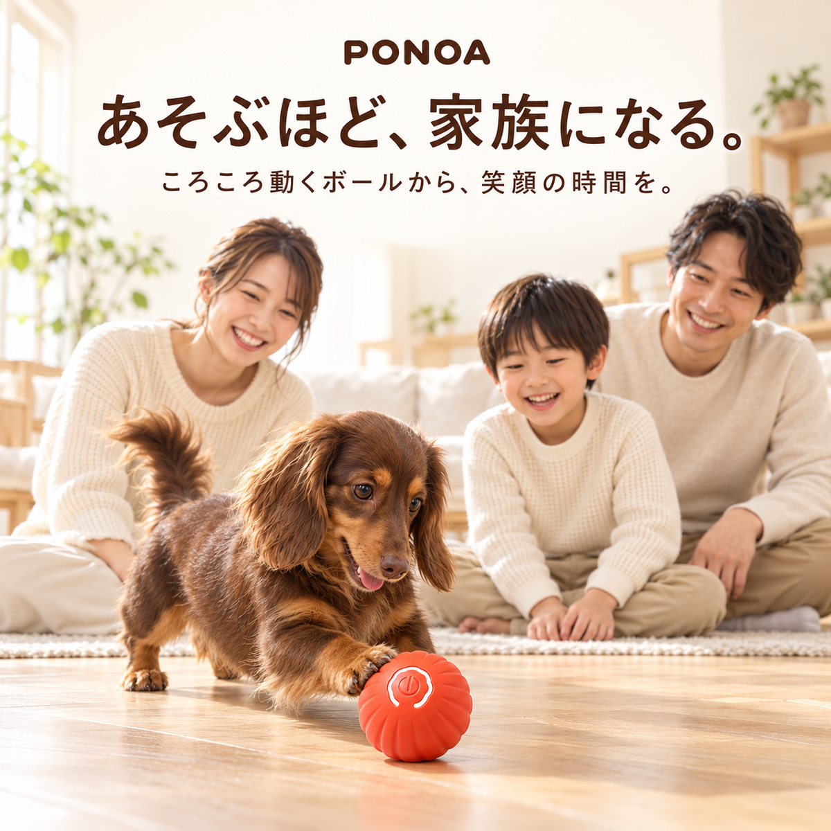 PONOA 自動おいかけっこボール