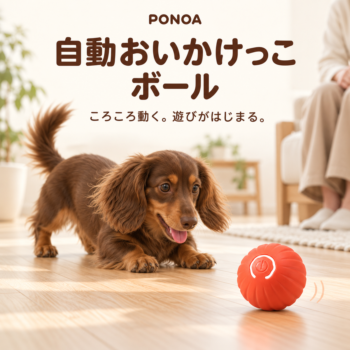 PONOA  自動おいかけっこボール