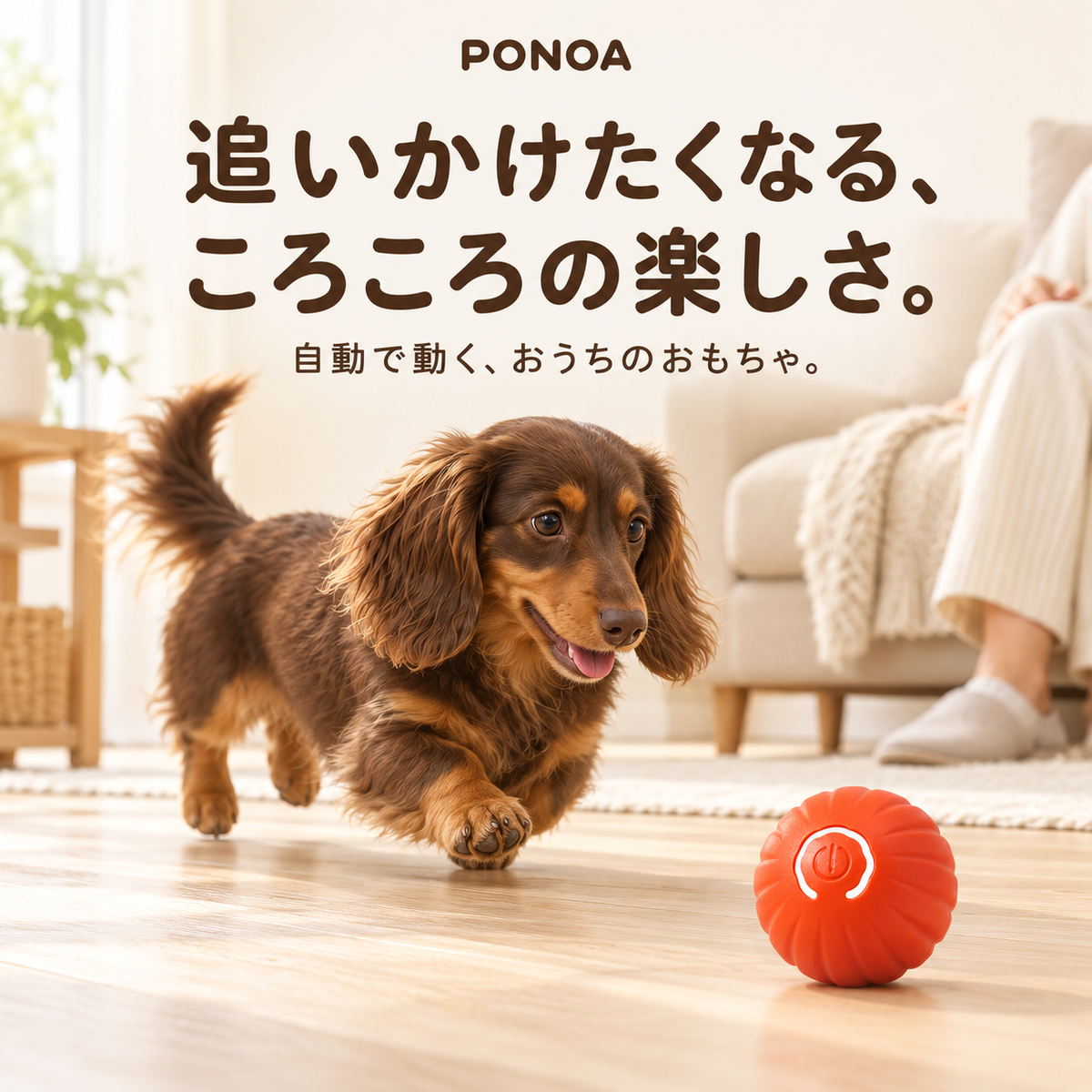 PONOA  自動おいかけっこボール