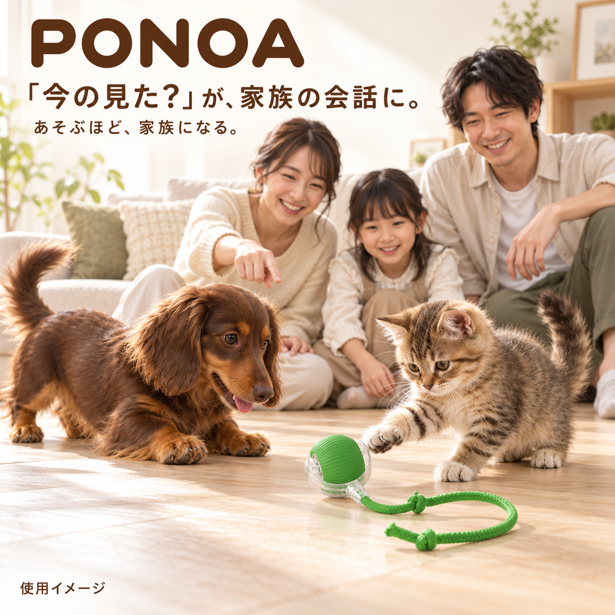 犬と猫のおいかけっこを家族で楽しむ時間