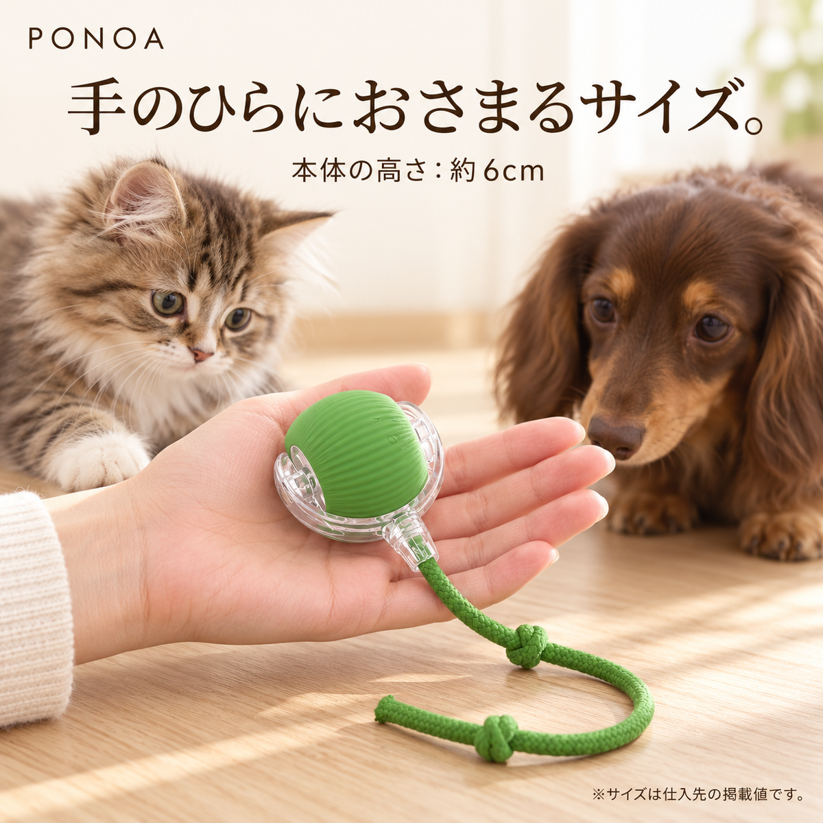 手のひらにおさまるボール 本体の高さ約6cm 仕入先掲載値