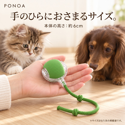 手のひらにおさまるボール 本体の高さ約6cm 仕入先掲載値
