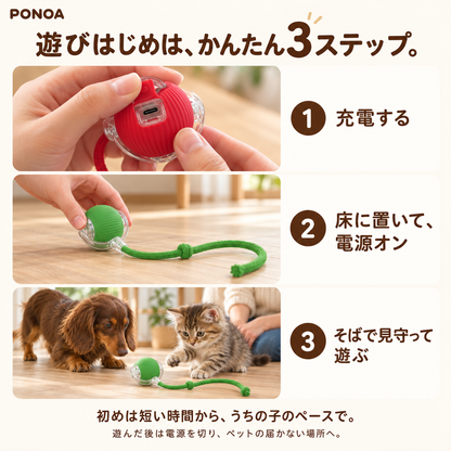 充電して電源を入れ見守りながら遊ぶ3ステップ